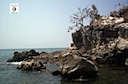 web_july-rocks-