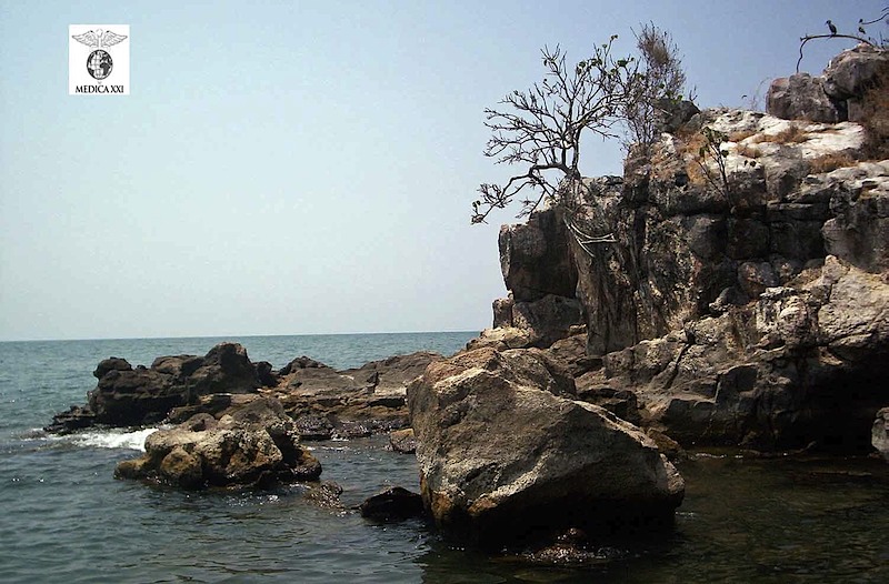 web_july-rocks-