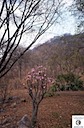 web_march-pink-